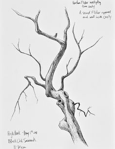 a drawing of a tree with no leaves