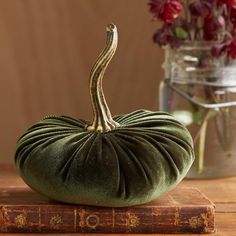 a green velvet pumpkin sitting on top of a book