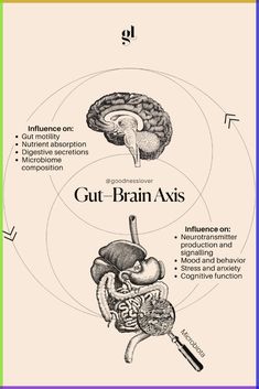 Gut Reset, Health Post, Hidden Key, Gut Feeling, Gut Healing, Health Knowledge, Holistic Nutrition, Healthy Gut