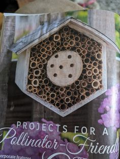 a beehive made out of bees sits on top of a magazine with the title project is for a pollillar friend