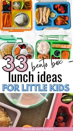 the best lunch ideas for little kids