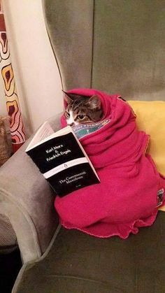 a cat sitting on top of a couch under a blanket next to an open book