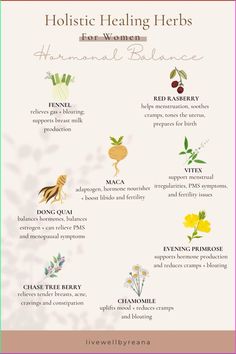 Have you heard of healing herbs to help balance out your hormones? Here are eight holistic healing herbs for women for hormonal balance. The herbs listed are small yet powerful plants that will assist you with various symptoms such as anxiety, bloating, mood swings, and insomnia. You have been blessed with a fantastic body that does a lot for you and goes through a lot monthly. Consider trying some of these herbs to help heal you holistically without any adverse side effects from traditional medicine. holistic healing • holistic wellness • holistic lifestyle • holistic remedies • wellness tips • wellness lifestyle #holistichealing #holistichealth #wellbeing #wellnesstips #holisticwellness #holisticmedicine Herbs For Mood Swings, Herbs To Help Balance Hormones, Holistic Medicine Natural Treatments, Holistic Hormone Balancing, Holistic Healing For Beginners, Herbs For Women, Herbal Diy, Female Wellness, Medicine Garden