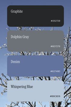 the color scheme for blue and gray is shown in three different colors, including white