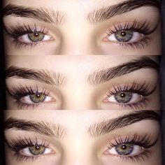 Rendall Coleby, Eyebrows Goals, Bushy Eyebrows, Threading Eyebrows, Thick Eyebrows, Natural Eyebrows, Best Eyebrow Products, How To Color Eyebrows