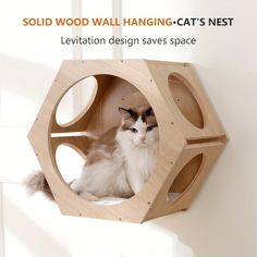 a cat sitting in a wooden hanging cat's nest with the caption levitation design saves space