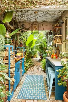 an outdoor kitchen with lots of plants in it