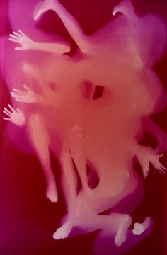 an abstract photograph of a woman's body in pink and purple