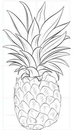 how to draw a pineapple