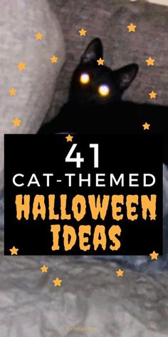 a black cat with glowing eyes sitting on top of a couch next to the words 4 cat - themed halloween ideas