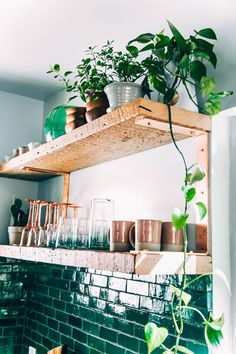 a shelf filled with potted plants and glasses