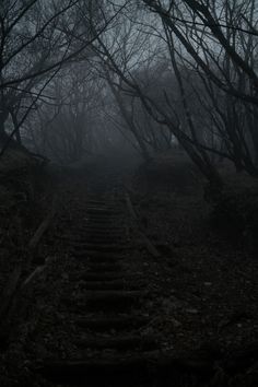 an old set of stairs in the woods at night