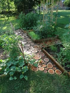 a garden with lots of different types of trees and plants in it, including logs