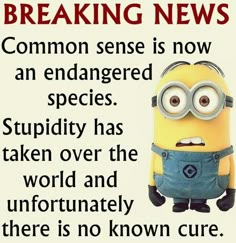 a minion with the words breaking news on it