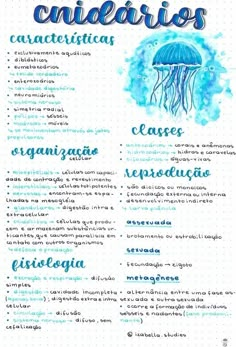 a menu with an image of a jellyfish in blue watercolors on it