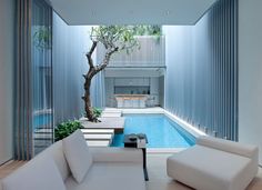 a living room filled with white furniture and a tree in the middle of the room