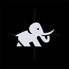 an elephant is shown in the middle of a black and white photo with text below it