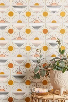 a potted plant sitting on top of a wicker table next to a wall