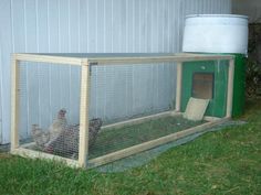 three chickens in a small cage next to a building with a bucket on the ground