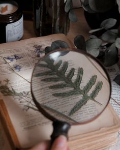 a hand holding a magnifying glass over an open book with leaves on it