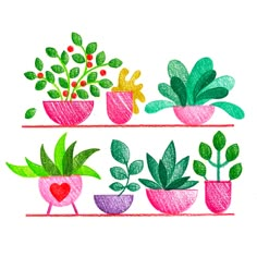 three shelves with plants and hearts drawn on them