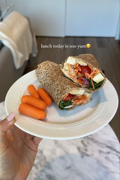 a person holding a plate with a sandwich and carrots