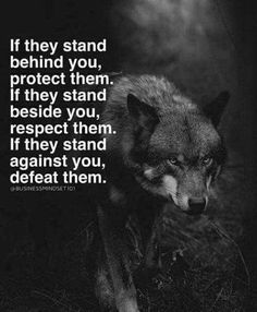 Lone Wolf Quotes, Trening Sztuk Walki, Wolf Quotes, Warrior Quotes, A Wolf, Strong Quotes, Badass Quotes, Quotes About Strength, A Quote