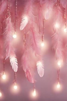 pink feathers hanging from the ceiling with lights