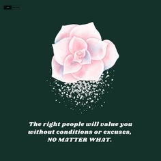 a pink rose with the words, the right people will value you without conditions or excess, no matter what