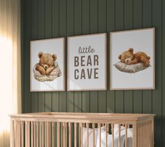 two posters on the wall above a crib with a teddy bear sleeping in it