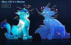 two blue cats sitting next to each other on a black background with the caption glasee 433 b x nepture