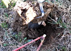 an image of a hole in the ground that has been dug up with a shovel