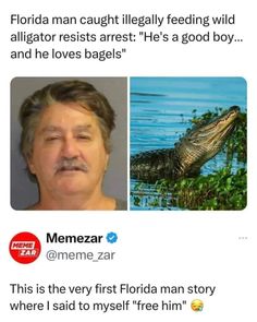 an image of a man with a fake alligator on his face and the caption reads, florida man caught illegally feeding wild alligators