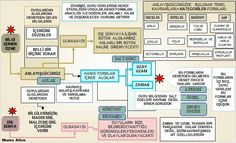 a diagram showing the different types of medical devices and their functions in each region, including