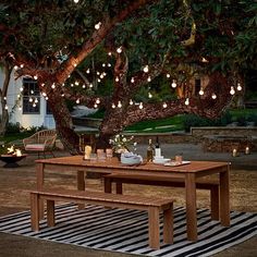 a table and bench under a tree with lights