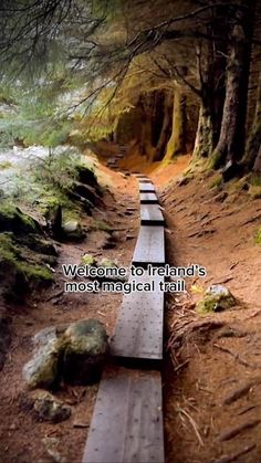 there is a path in the woods that leads to some rocks and trees with a quote on it