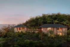 an artist's rendering of a house in the middle of trees and bushes at dusk