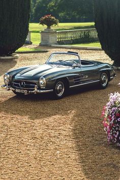 an old mercedes benz roadster parked in front of some trees and flowers on the ground