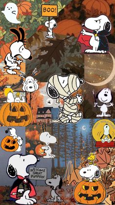 the peanuts gang halloween wallpaper with pumpkins and jack - o'- lanterns