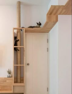 two cats sitting on top of a cat tree in a room with white walls and wooden stairs