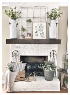 a living room with a fire place and potted plants on top of the mantle