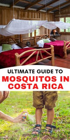 the ultimate guide to mosquitoing in costa rica with pictures and text overlays