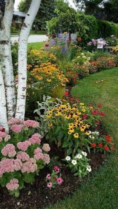 a garden with flowers and trees in the background