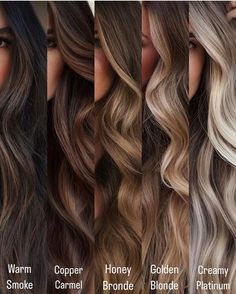 Brunette Balayage Hair Honey Blonde, Toner Hair Colours, Hair Color Ideas For Brunettes Medium Length Trending Hairstyles, Brown Hair Front Highlights, Caramel Highlights On Dark Hair Balayage, Balayage Butterfly Cut, Brunette Hair With Color Highlights, Hair Color Ideas For Light Brunettes, Cowgirl Hair Color