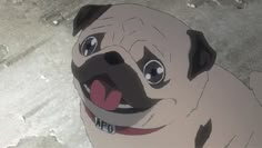 a pug dog with its mouth open and tongue out