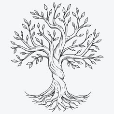 a drawing of a tree with roots