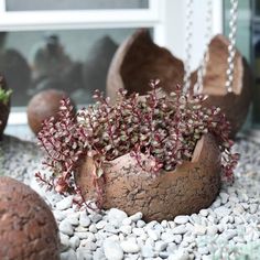 some rocks and plants are on the ground near a window sill with a chain hanging from it's side