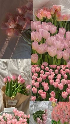 pink tulips are shown in multiple pictures