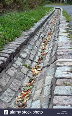 an old brick road with leaves on it