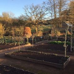 an outdoor garden with many different types of plants and trees in the area around it